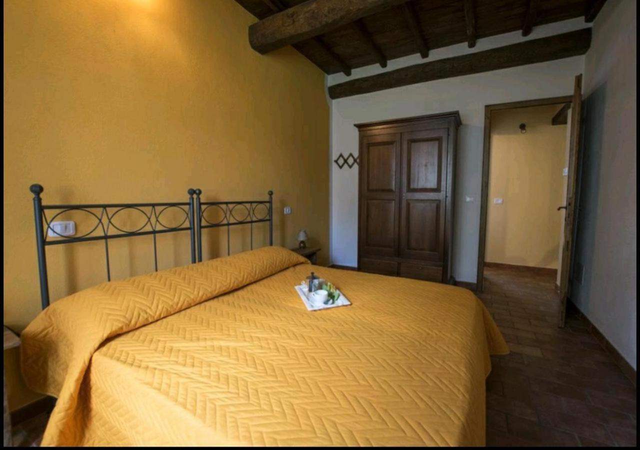 Casetta Della Pina Monticiano Ngoại thất bức ảnh